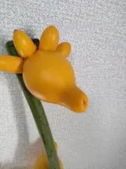 capの画像
