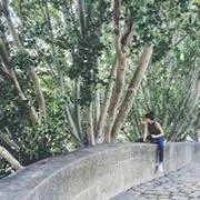 rriiiiiiiisaの画像