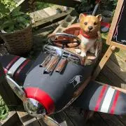 ばらっち