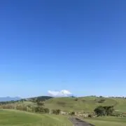 ゆうの画像