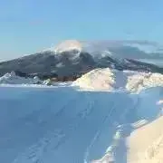 ひかるの画像