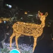 じぇにふぁの画像
