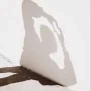 ととの画像