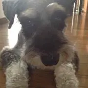 RONI