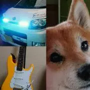 柴犬わんこ