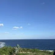 あの画像