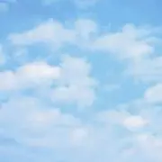 tomo