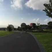 サト