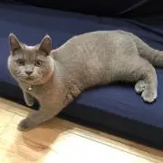 ラムネ