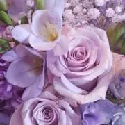 SM☆MSの画像