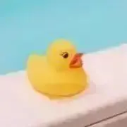 まるねこの画像