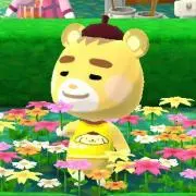 あぱんの画像