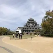 さくらの画像