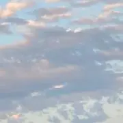 みの画像
