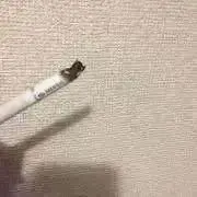 smkの画像