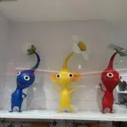しょうこの画像