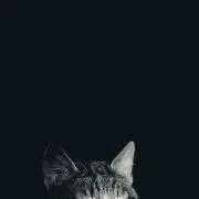 SOG56※プロフ必読の画像