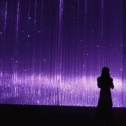 らふの画像