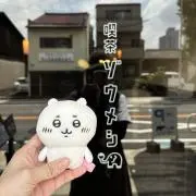 ❇︎のん❇︎の画像