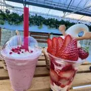 マツイ　ミワの画像