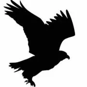 能ある鷹は爪を隠すの画像