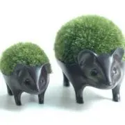 Justwithの画像