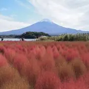 ma。
