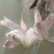 n【プロフ必読】の画像