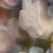 さとう