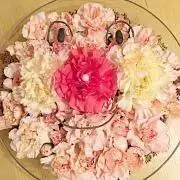 COＣＯの画像