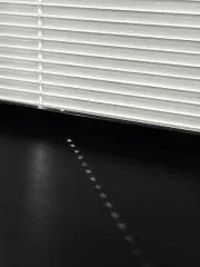Nu1lの画像