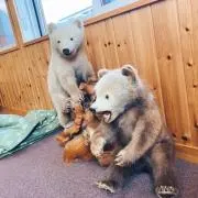 ぜんぜんぜんの画像