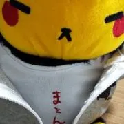べじたの画像