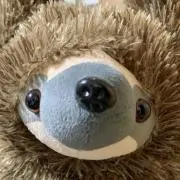 てんこの画像