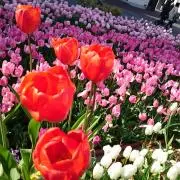 namiの画像