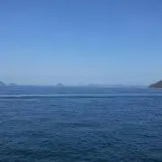 SKYの画像
