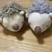 はりねずみ