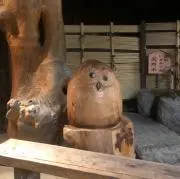 ヨッシーの画像