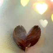 peach♡