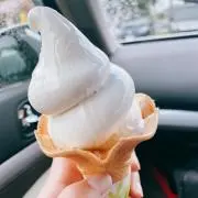 mini☆*°