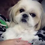 フジイ　サチコ