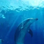 うみ☆の画像