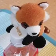 ハチ