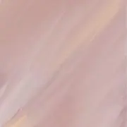 ゴンの画像