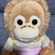 Rの画像