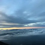 lavitaの画像