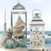 Miracostaの画像