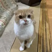 ☆パール☆