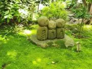 Hammの画像
