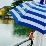 Blue Umbrellaの画像